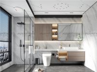 对话Ospel，探索个性化、智能化的“卫浴新宠”