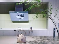 西安gorenje店盛大开业，带来艺人影像与欧洲杯的双重享受