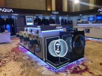 东南亚：上半年海尔洗衣机双位数增长