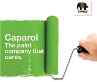 德爱威外墙涂料用“绿色”铸就城市魅力