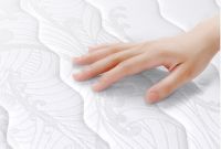 经验分享：椰棕床垫有哪些推荐