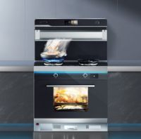 圣格赞助“冠军的新家”，为冠军打造理想厨房