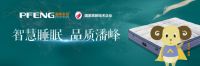 攀峰家居成功入选“中国轻工企业200强”