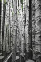 鬼建筑师沈江海联手金属手咖啡打造杭州网红签到新地标