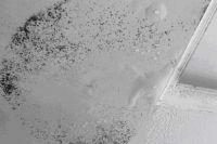 台风季节来临，经典榆林君外墙及屋面超弹防水涂料，为外墙增添保护