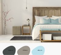 德国家装涂料，德艾维用色彩重塑2021