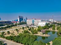 “金”为匠心，“峰”聚成山丨金丰水泥集团入选2020年中国民营企业500强