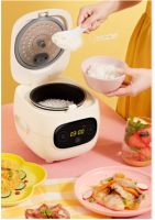 可爱，强大，漂亮的迷你电饭煲，可爱又好吃