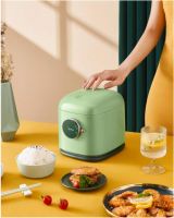 可爱，强大，漂亮的迷你电饭煲，可爱又好吃