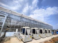 欧斯丹热泵推广温室栽培，智能恒温