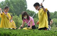 海尔热水器·净水发起“减塑捡塑”公益活动保护水生态