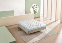 深耕睡眠领域，穗宝致力打造“新时代青年国货”