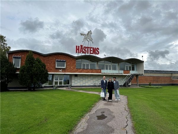 来一场瑞典雪平的Citywalk，邂逅海丝腾百年浪漫致意