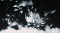 “水星X”系列，升级睡眠“芯体验” | 水星家纺X系列被芯新品造梦而来