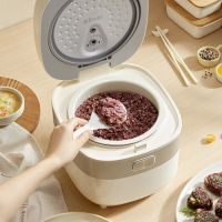 发力刚需赛道再获佳绩！小熊电器电饭煲1-8月零售量同比增长5.4%