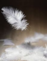 锁定浪漫秋日,海丝腾做你的温暖“搭子”