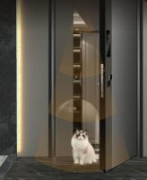 智能门热搜背后的思考，王力机器人安全门诠释“真智能”