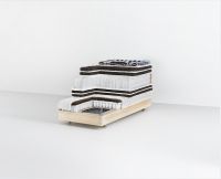 海丝腾携Dr. Chad Eldridge专家臻启健康生活新纪元