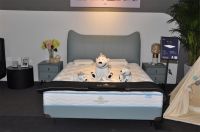 金斯当新品闪耀第53届广州家博会，春季风尚引领潮流