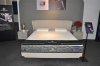 金斯当新品闪耀第53届广州家博会，春季风尚引领潮流