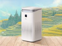 新颐空净十周年，百万补贴全面启动