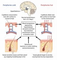 追求健康美好，室内环境“恒”不停