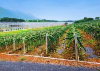 农业产业链布局拓展，联塑管道助力垂直农业产业链完善