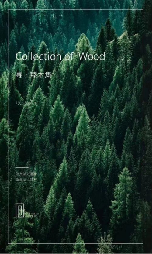 箭牌瓷砖新品「寻」臻木集，让我们找到0碳家庭生活方式