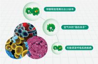 醛菌无存，兔宝宝除醛抗菌生态板守护家健康的新卫士！