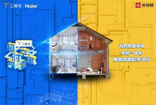 不是产品植入!三翼鸟以定制家方案“植入”用户心