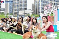 中国电建地产首届电粉节盛大开幕