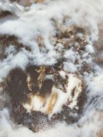 暮雪，演绎自然美学新境