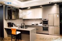 家电家居一体，三翼鸟智慧厨房店2.0贵州落地