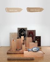 芬琳漆携手伊莎贝尔·科纳罗，共绘中法艺术盛宴