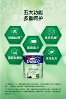 三棵树和多乐士乳胶漆哪个好？乳胶漆闭坑指南必看！