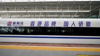 紫荆花上榜2023-2024十大优选家装涂料品牌