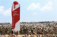 京东京造新疆阿瓦提棉花基地揭幕 11.11助力当地棉花产业转型升级