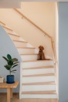 芬琳Color Now 2025：夜曲蓝·Nocturne N348，静谧生活的色彩密码