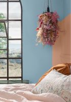 芬琳漆 · 蓝色情人节邂逅：让爱弥漫于家的每个角落