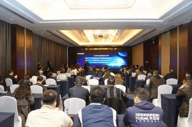 卡百利2025:深度链接用户,引领高端艺术漆时代变革浪潮