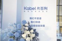 卡百利2025：深度链接用户，引领高端艺术漆时代变革浪潮