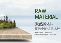 天山板材：诚信315，品质见证每一刻