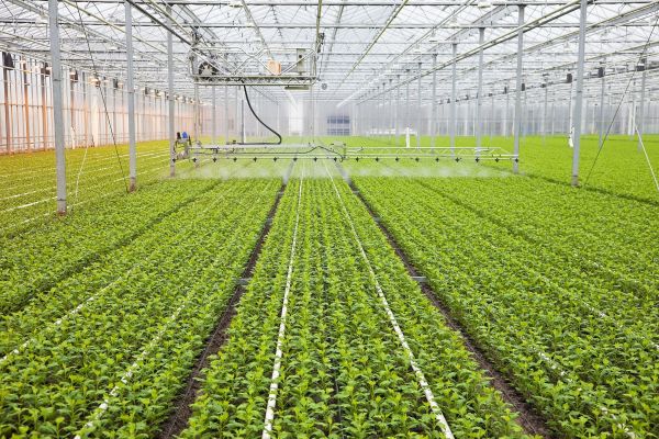 锚定建设农业强国目标，联塑管道科技助推乡村振兴加速跑