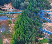 大国工程丨赋能农业现代化建设，联塑助推海南热带特色农业高质量发展