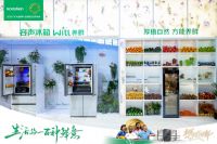 容声冰箱AWE发布百种蔬果养鲜数据，重新定义食材存储标准