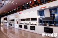 聚焦厨电领域|帅康用专业打造高端厨房新方式