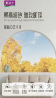 美涂士星晶石艺术漆新品上市，绝美新品集体出道！