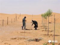 DOJUS 度假式家私：重构家居消费场景，定义“日常，就度假”的美学革命