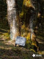 DOJUS 度假式家私：重构家居消费场景，定义“日常，就度假”的美学革命