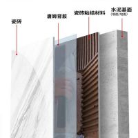 唐姆助力岩板落地困局突破，首届岩板瓷砖粘贴材料及技术展或将开启行业新纪元